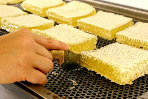 تصویر 2 از فروش عمده عسل گون با کیفیت سبلان